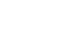 Owl Image